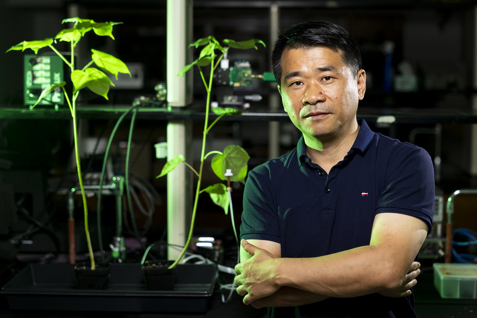 Liang Dong beside plants and sensing equipment in a research laboratory